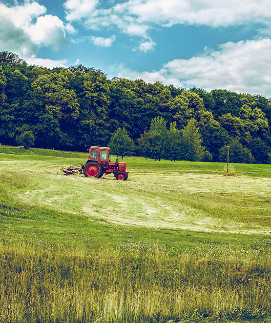 Empresa agrícola Lleida