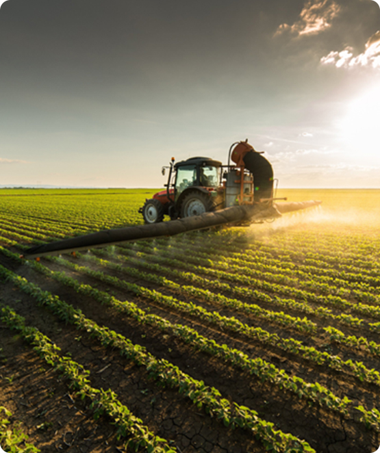 Contacto agrícola Lleida