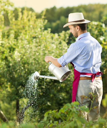 Servicios de agricultor en Huesca